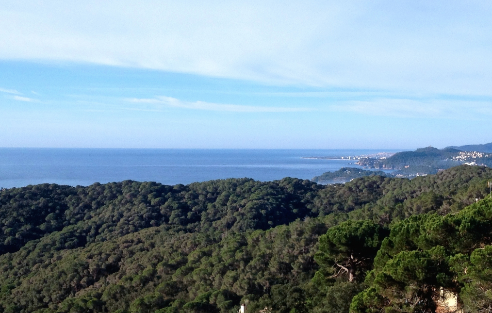 Tomt i Lloret de Mar, Girona, Spanien Nr. 40539