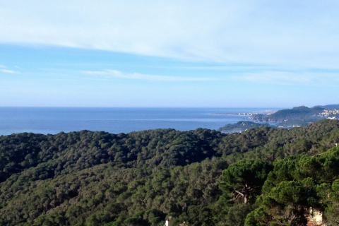 Terreno a Lloret de Mar, Girona, Spagna N° 40539