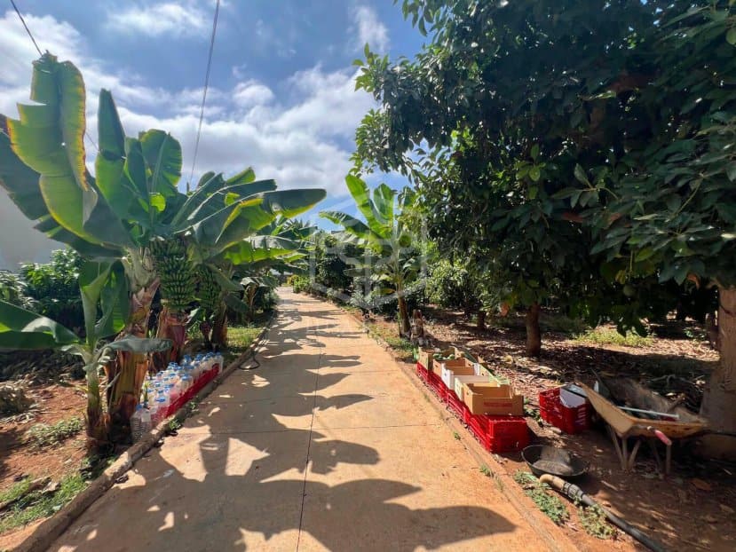Villa i Santiago del Teide, Tenerife, Spanien Nr. 117444