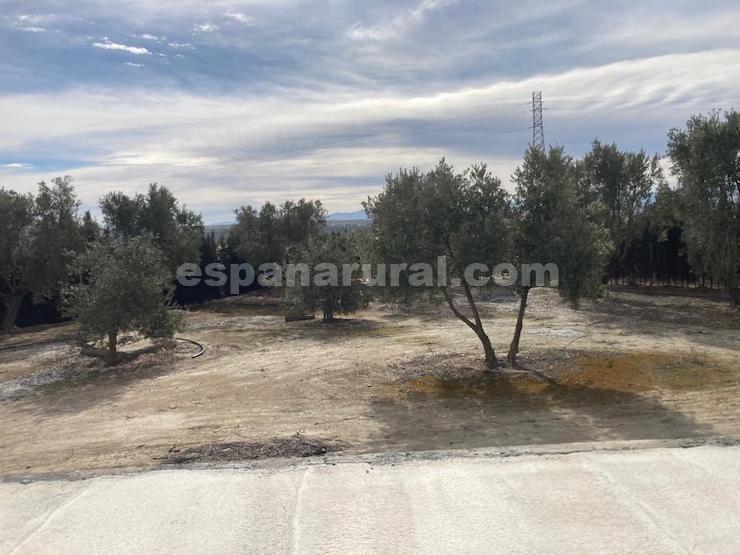 Casa a Baza, Granada, Spagna 4 camere da letto, 1098 mq. N° 86762