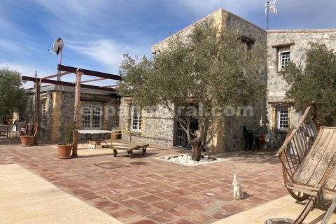 Talo Baza, Granada, Espanja 4 makuuhuonetta, 1098 m2 No. 86762