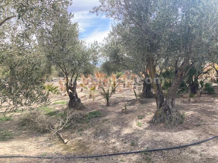 Casa a Baza, Granada, Spagna 4 camere da letto, 1098 mq. N° 86762