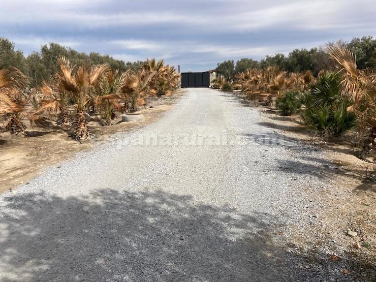Casa a Baza, Granada, Spagna 4 camere da letto, 1098 mq. N° 86762