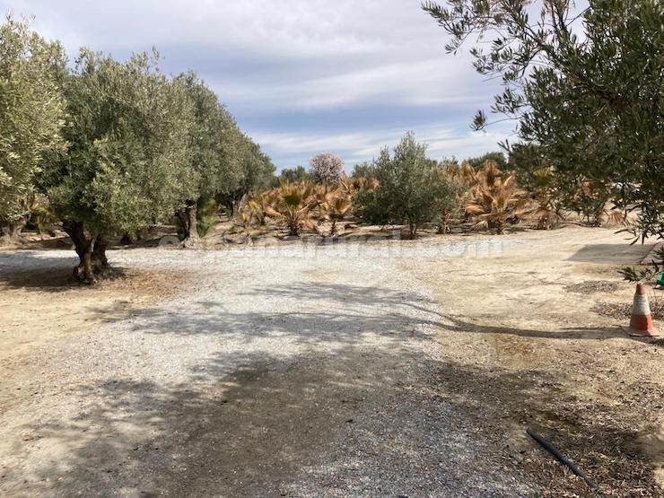 Casa a Baza, Granada, Spagna 4 camere da letto, 1098 mq. N° 86762