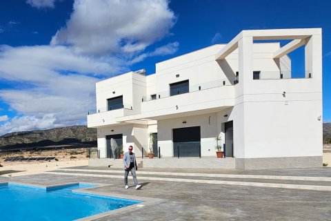 Villa in Pinoso, Alicante, Spanien 5 Schlafzimmer, 222 m2 Nr. 99319