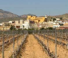 Bungalo Hondon De Las Nieves, Alicante, Spānijā 3 istabas, 120 m2 Nr. 103506