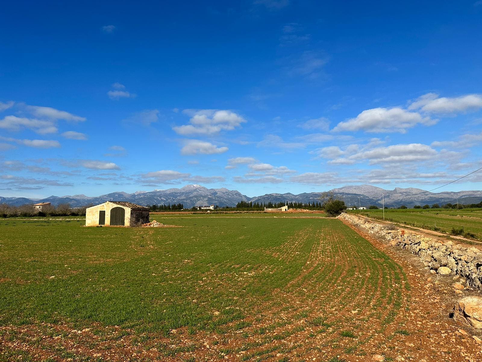Działka w Llubi, Mallorca, Hiszpania 20369 mkw. nr 104332