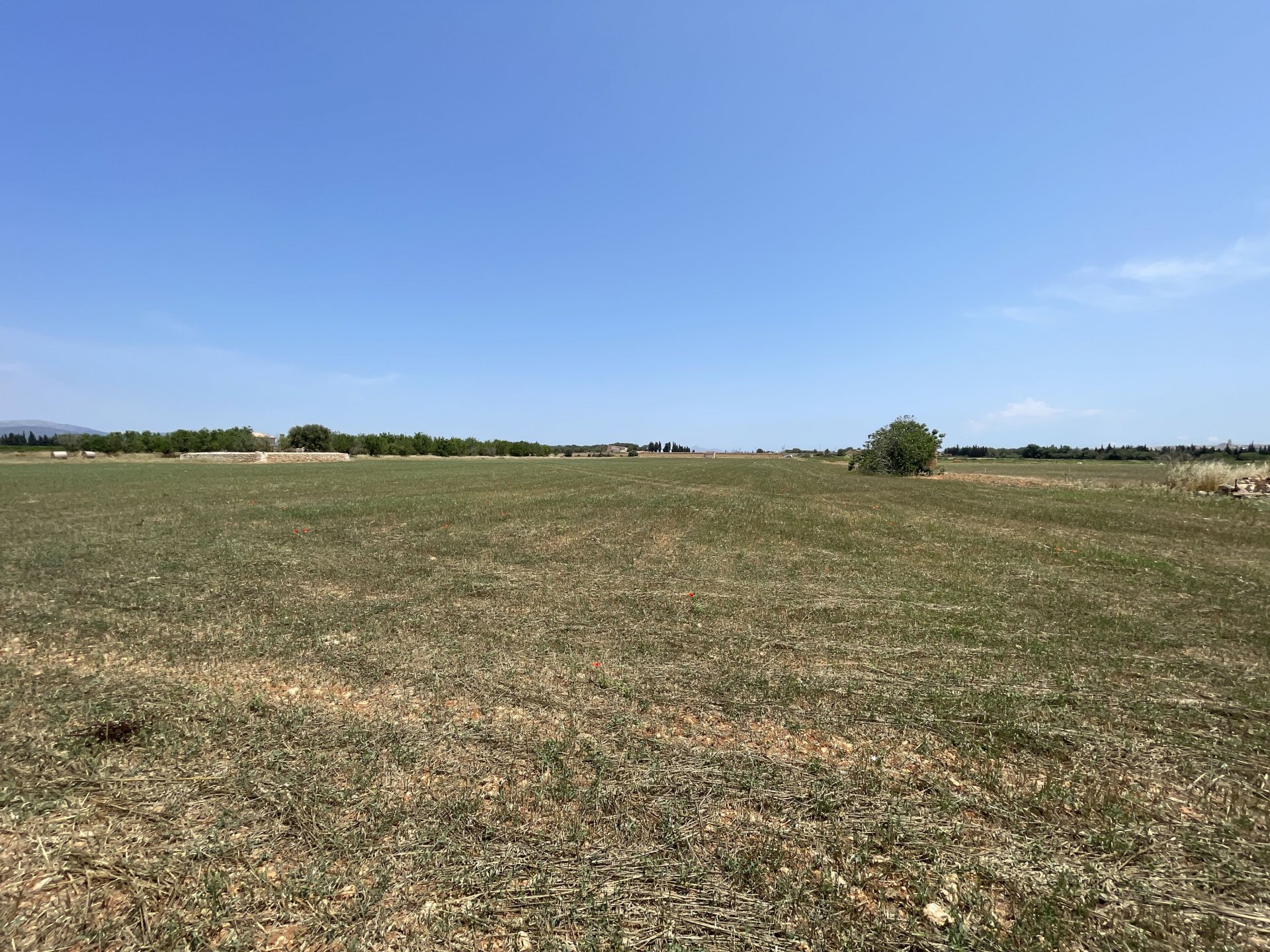 Działka w Llubi, Mallorca, Hiszpania 20369 mkw. nr 104332