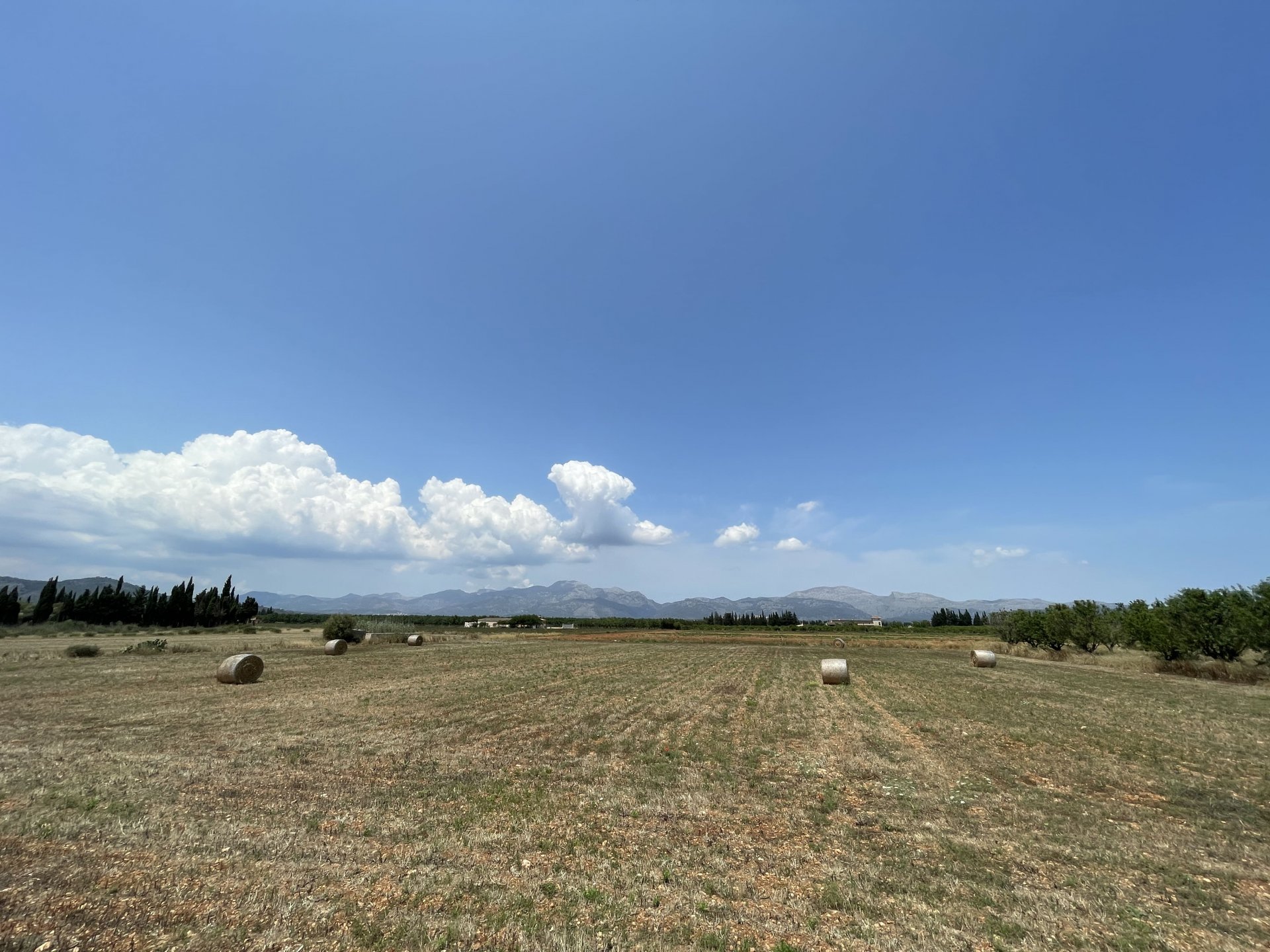 Działka w Llubi, Mallorca, Hiszpania 20369 mkw. nr 104332