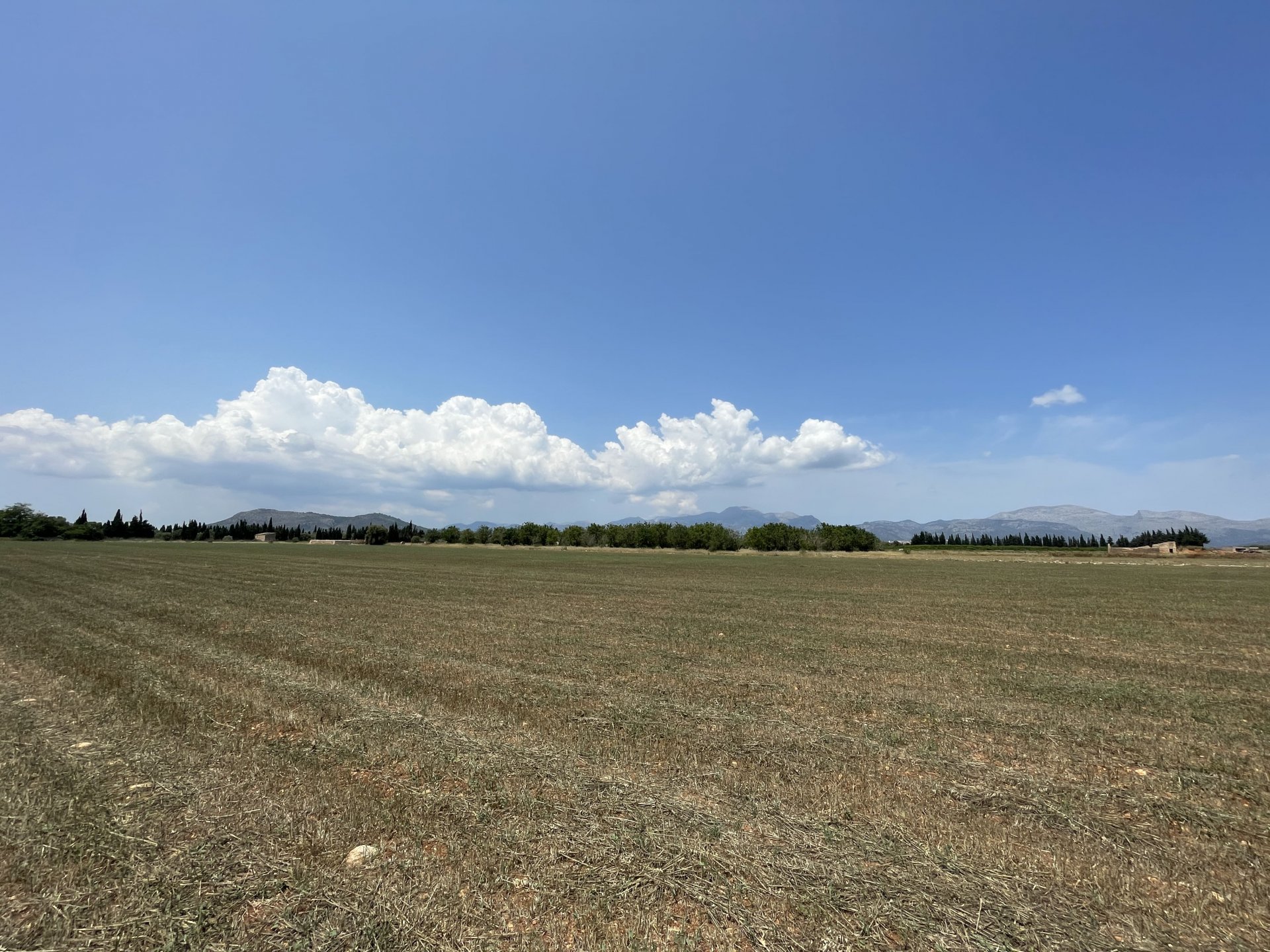 Działka w Llubi, Mallorca, Hiszpania 20369 mkw. nr 104332