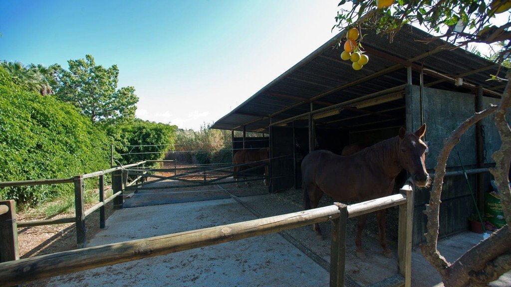 Villa Malaga, Spānijā 3 istabas, 118 m2 Nr. 106439