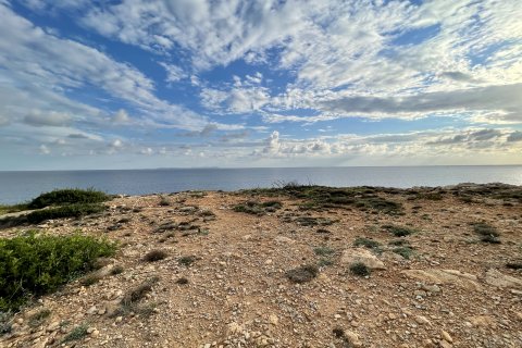 Tontti Llucmajor, Mallorca, Espanja 1 makuuhuone, 1528 m2 No. 91406