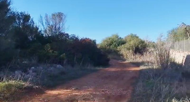 Tontti Sineu, Mallorca, Espanja 3 makuuhuonetta, 101 m2 No. 108957