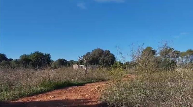 Tontti Sineu, Mallorca, Espanja 3 makuuhuonetta, 101 m2 No. 108957