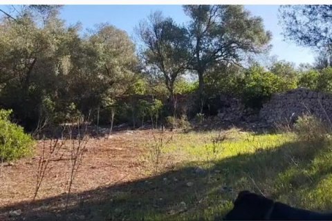 Tontti Sineu, Mallorca, Espanja 3 makuuhuonetta, 101 m2 No. 108957