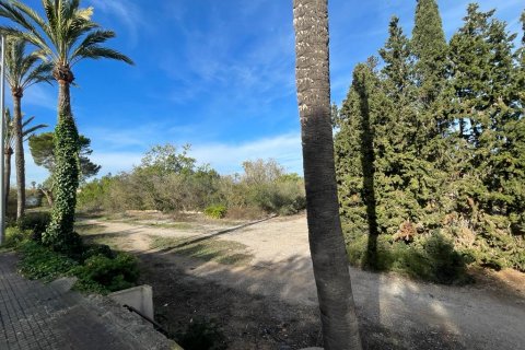 Tontti Llucmajor, Mallorca, Espanja 13506 m2 No. 91964