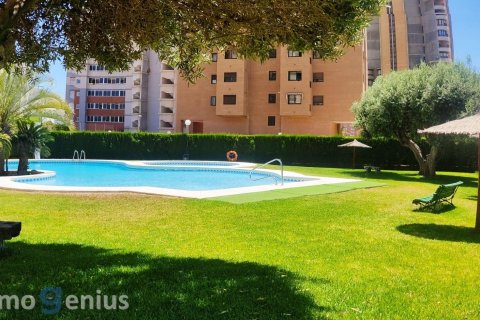 Appartamento a Rincon De Loix, Alicante, Spagna 4 camere da letto, 145 mq. N° 81582