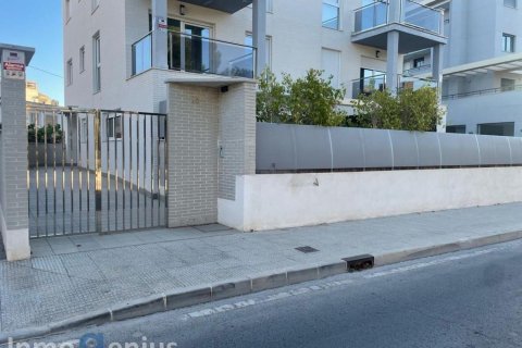 Appartamento a Playa De Muchavista, Alicante, Spagna 2 camere da letto, 75 mq. N° 81580