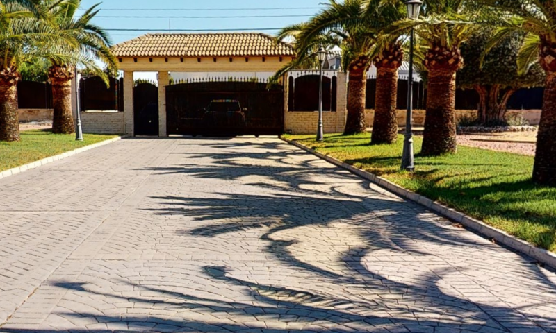 Villa à Elche, Alicante, Espagne 6 chambres, 500 m2 No. 115023