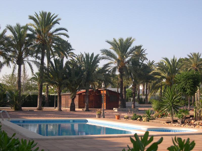 Villa à Elche, Alicante, Espagne 6 chambres, 500 m2 No. 115023