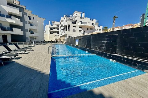 Apartment in Villamartin, Alicante, Spain 2 bedrooms, 70 sq.m. No. 111337