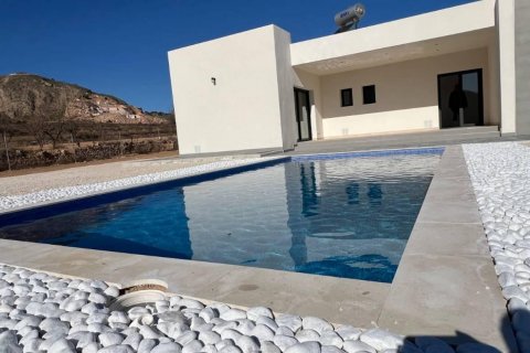 Villa in Hondon De Las Nieves, Alicante, Spain 3 bedrooms, 153 sq.m. No. 111331