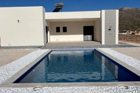 Villa in Hondon De Las Nieves, Alicante, Spanien 3 Schlafzimmer, 168 m2 Nr. 111332