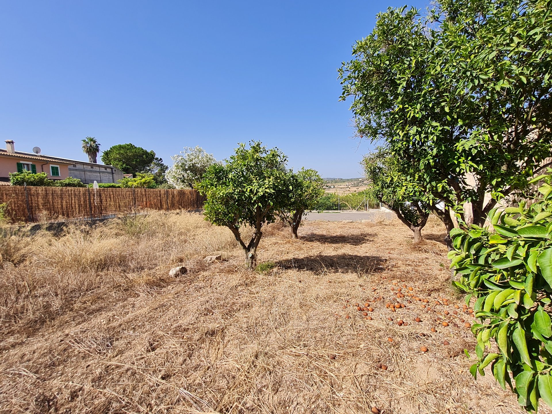 Land plot in Santa Margalida, Mallorca, Spain 325 sq.m. No. 111814
