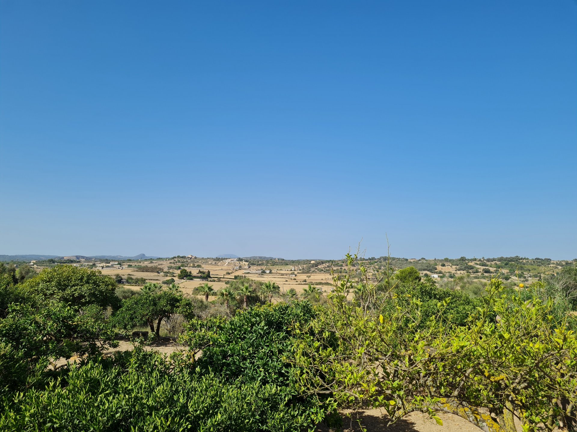 Land plot in Santa Margalida, Mallorca, Spain 325 sq.m. No. 111814