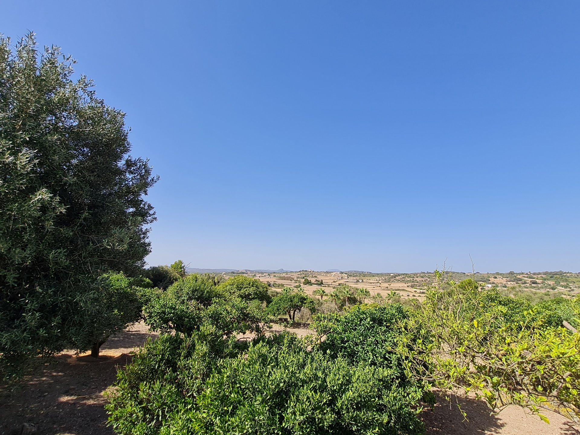 Land plot in Santa Margalida, Mallorca, Spain 325 sq.m. No. 111814