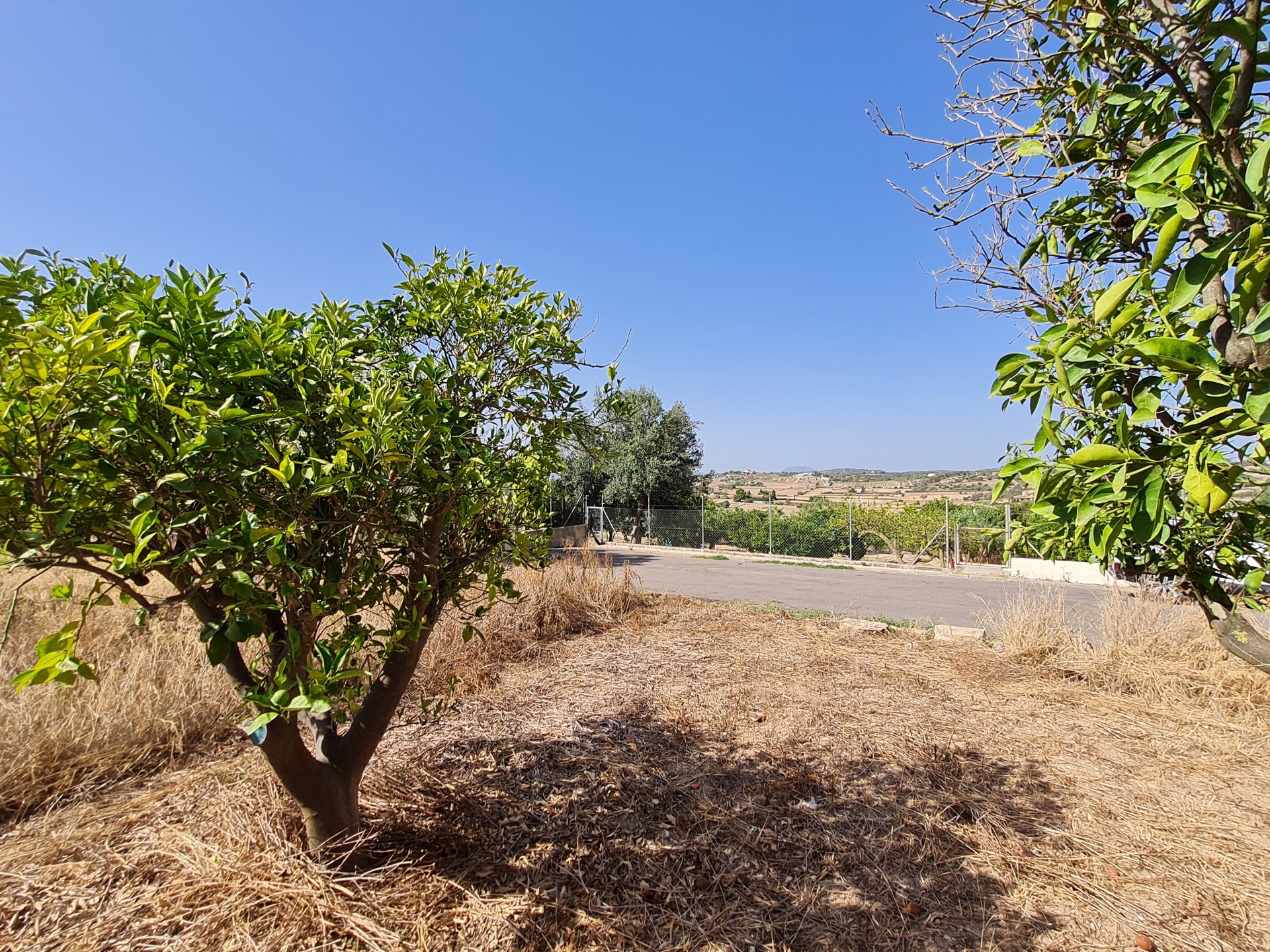 Land plot in Santa Margalida, Mallorca, Spain 325 sq.m. No. 111814