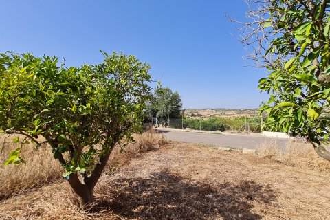 Tontti Santa Margalida, Mallorca, Espanja 325 m2 No. 111814