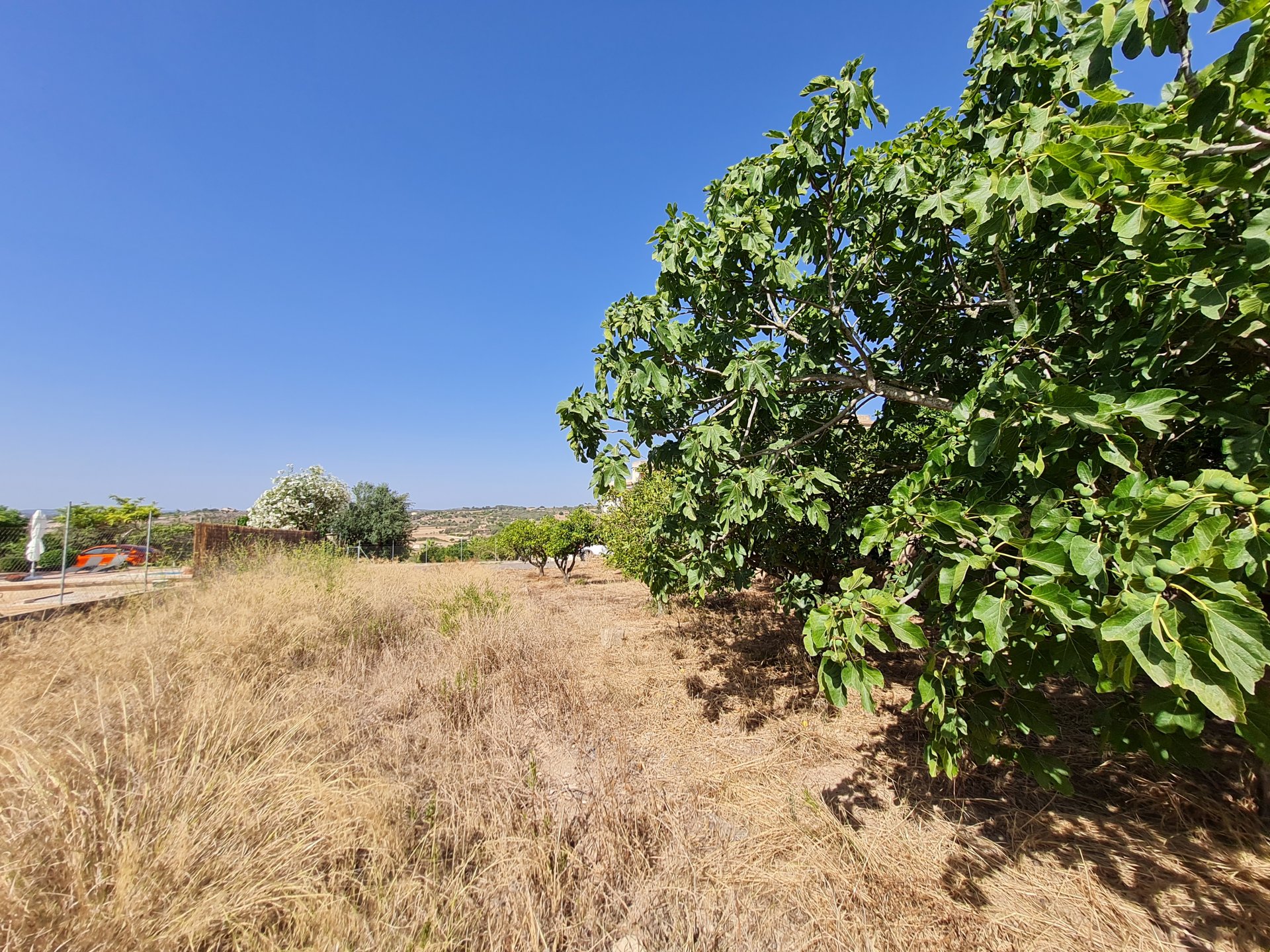 Land plot in Santa Margalida, Mallorca, Spain 325 sq.m. No. 111814