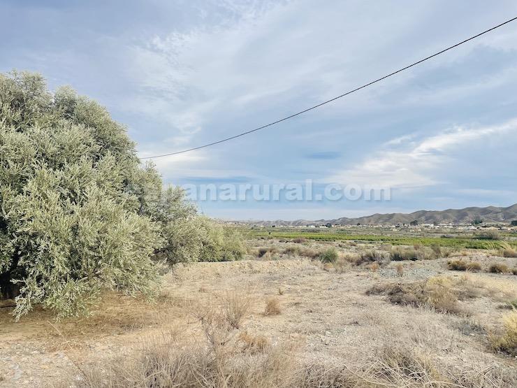 Hus i Arboleas, Almeria, Spanien 6 sovrum, 260 kvm. Nr. 93550