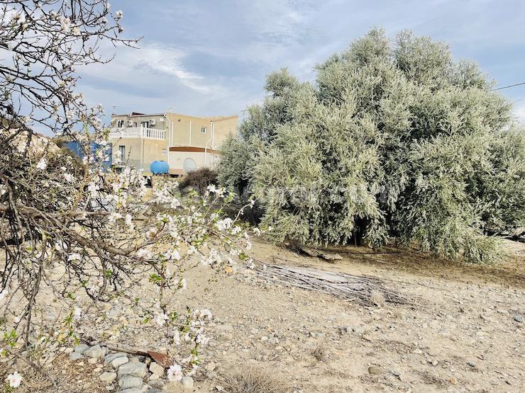 Hus i Arboleas, Almeria, Spanien 6 sovrum, 260 kvm. Nr. 93550