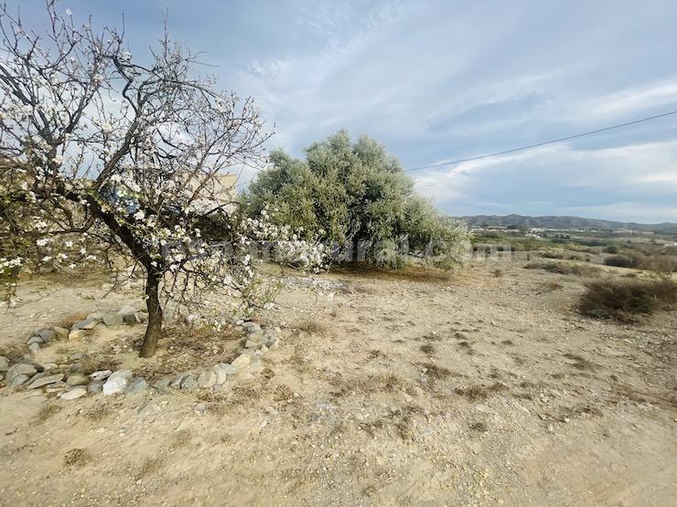 Hus i Arboleas, Almeria, Spanien 6 sovrum, 260 kvm. Nr. 93550