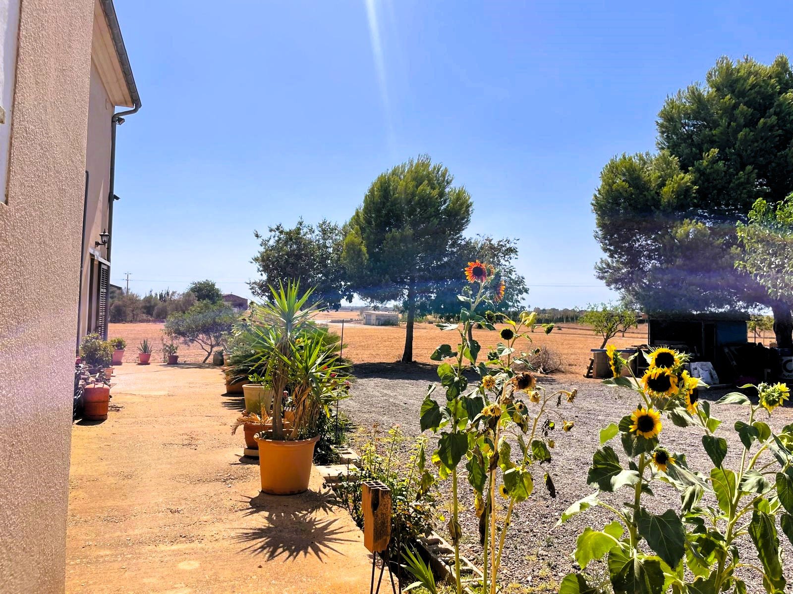 Finca Campos, Mallorca, Spānijā 5 istabas, 409 m2 Nr. 111830