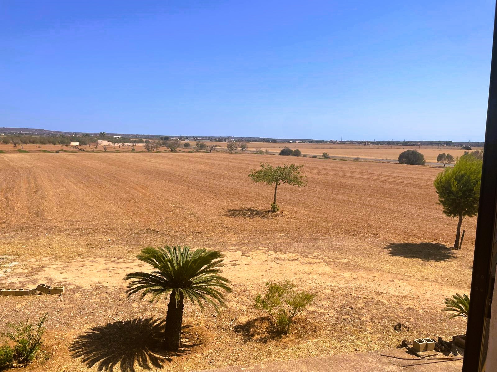 Finca Campos, Mallorca, Spānijā 5 istabas, 409 m2 Nr. 111830
