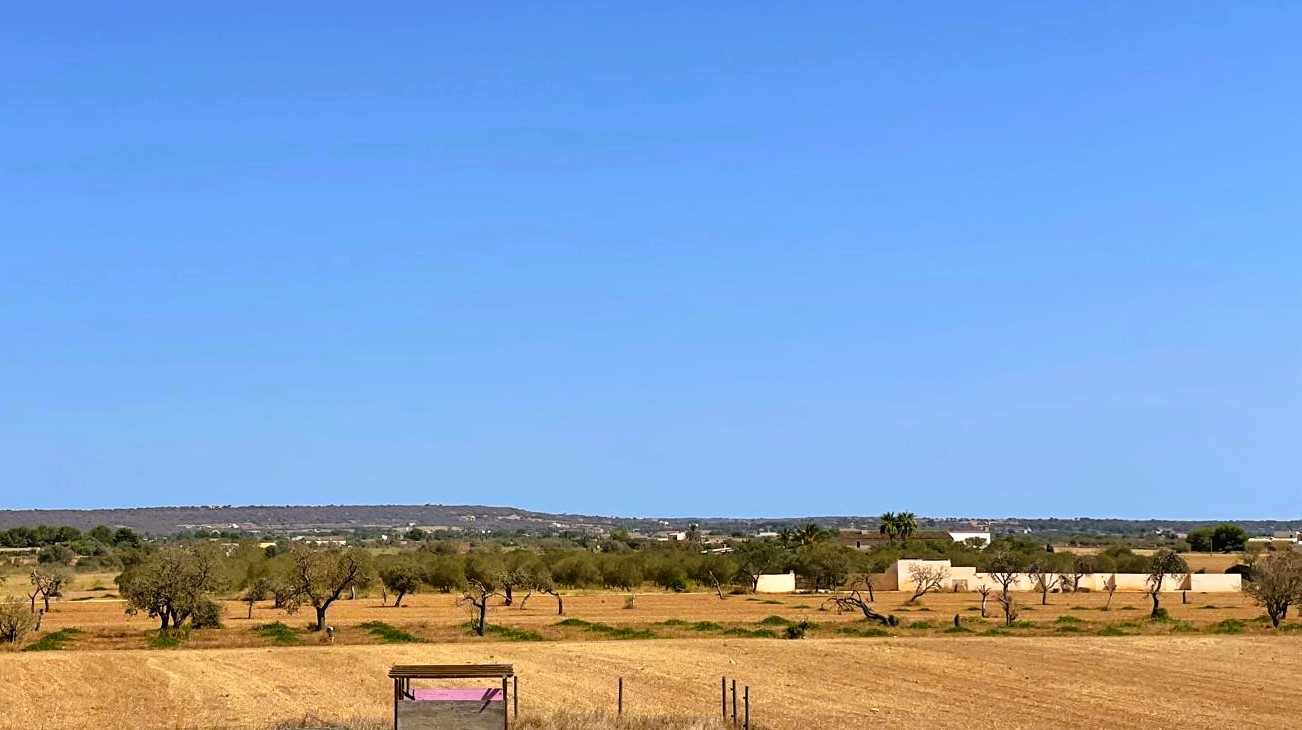 Finca Campos, Mallorca, Spānijā 5 istabas, 409 m2 Nr. 111830