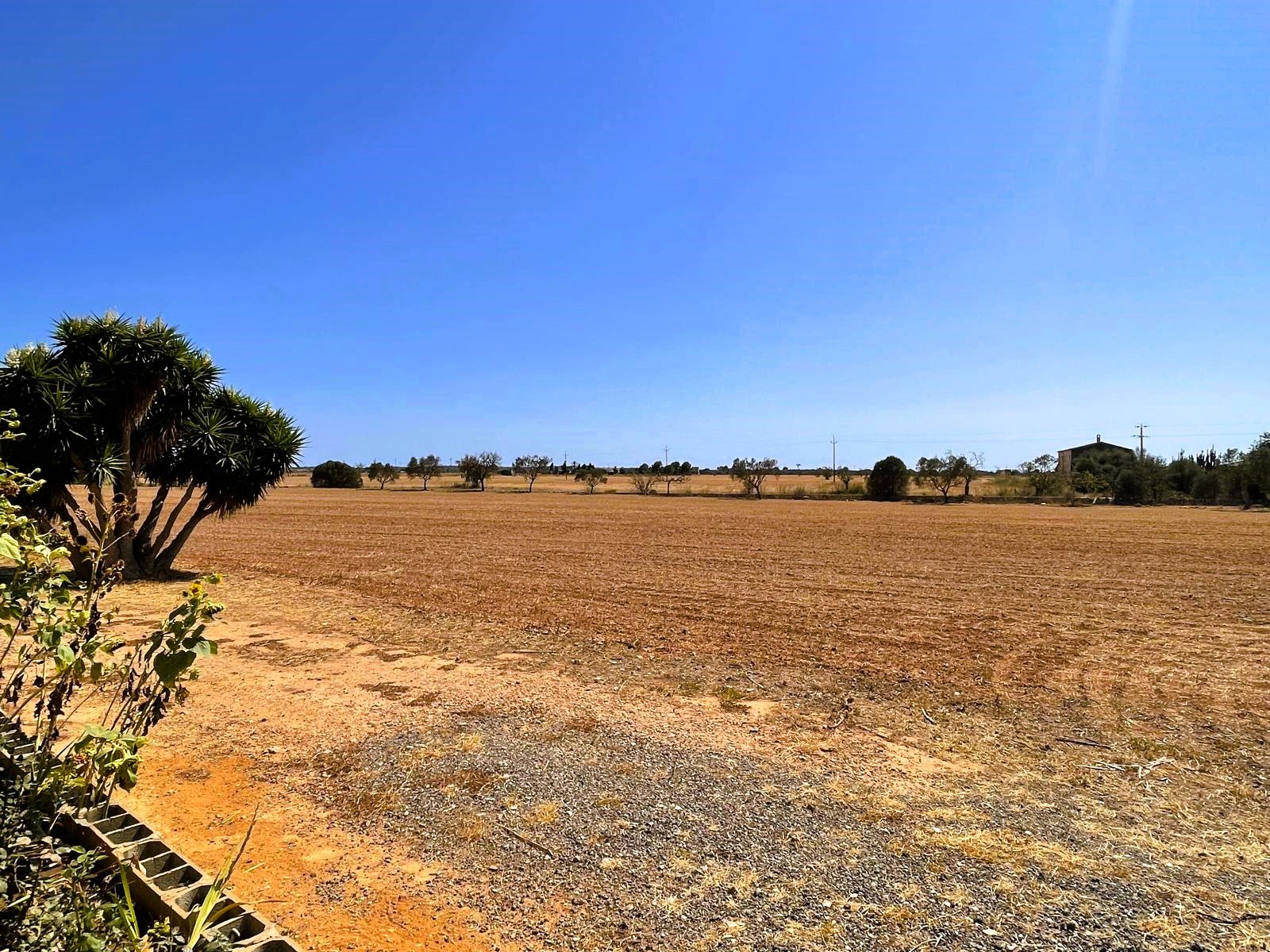 Finca Campos, Mallorca, Spānijā 5 istabas, 409 m2 Nr. 111830