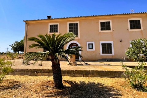 Finca à Campos, Mallorca, Espagne 5 chambres, 409 m2 No. 111830