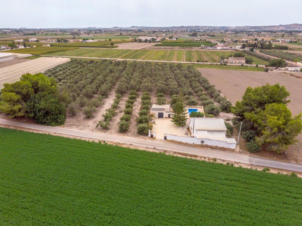 Finca in Dolores, Alicante, Spanien 3 Schlafzimmer, 146 m2 Nr. 115813
