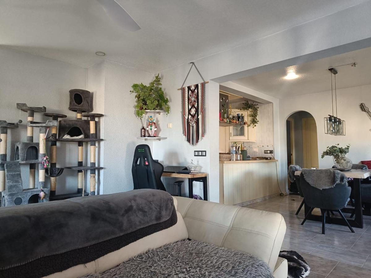 Villa a Benijofar, Alicante, Spagna 5 camere da letto, 177 mq. N° 104384
