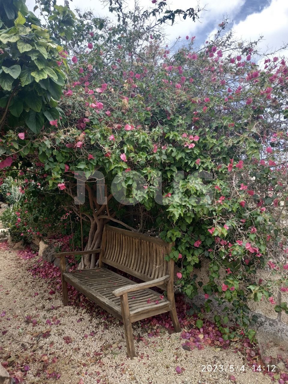 Villa in Tenerife, Spanien 6 Schlafzimmer, 650 m2 Nr. 109784