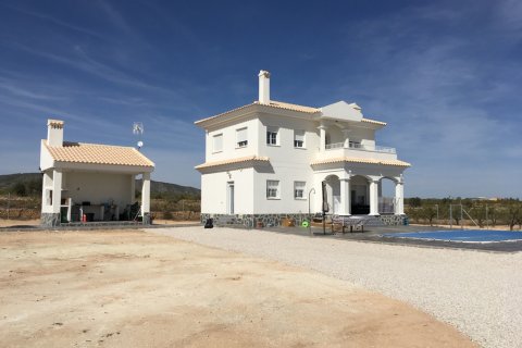 Villa in Pinoso, Alicante, Spain 3 bedrooms, 150 sq.m. No. 87017