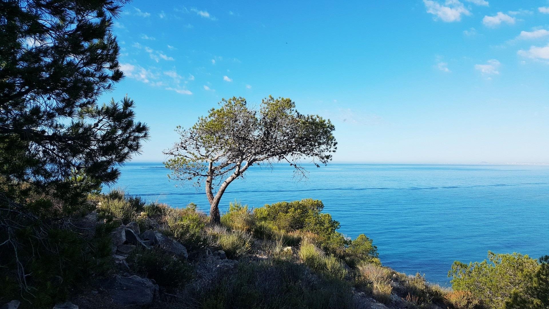 Apartment in Villajoyosa, Alicante, Spain 3 bedrooms, 87 sq.m. No. 117713