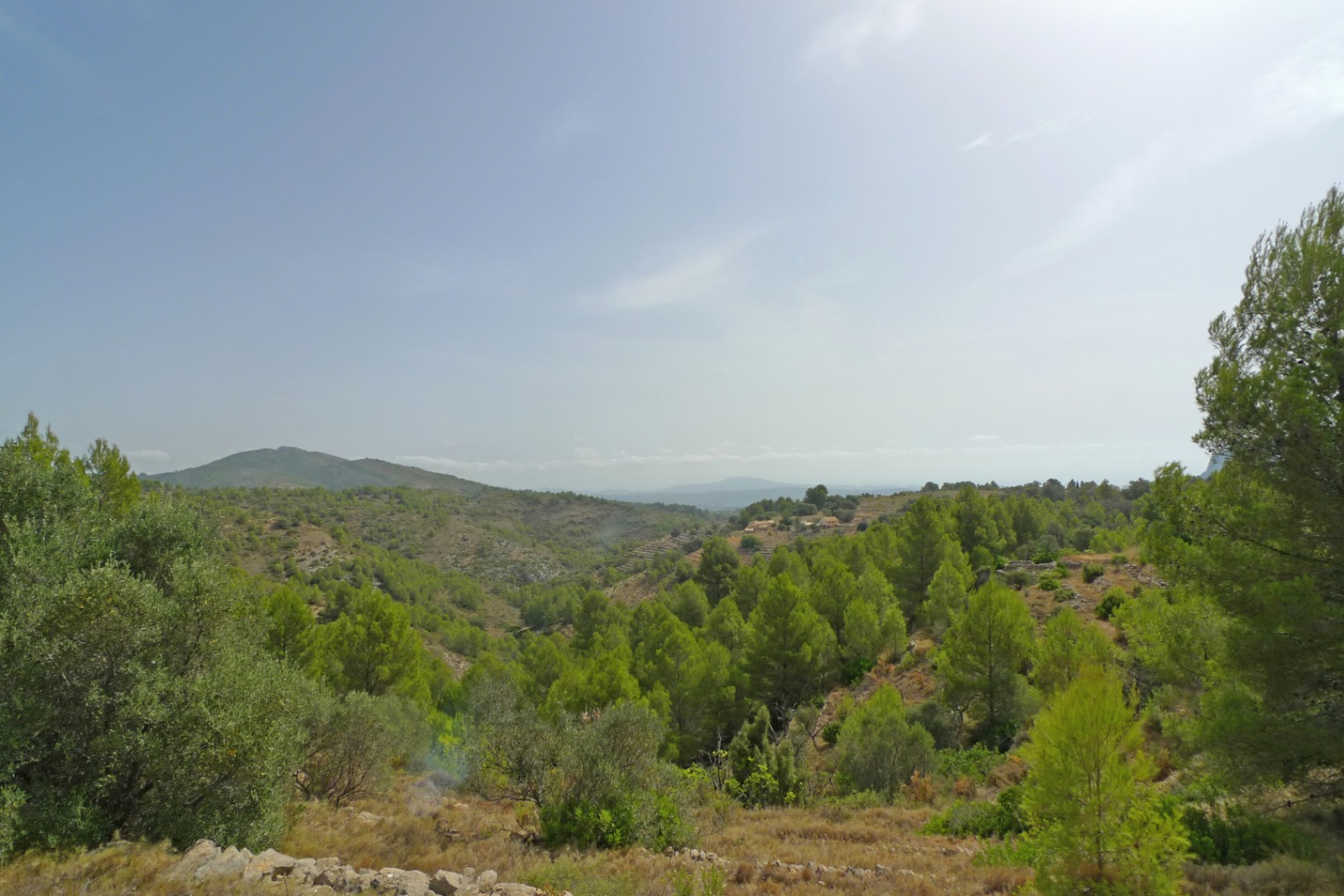 Parcela en Jalon, Alicante, España No. 87415