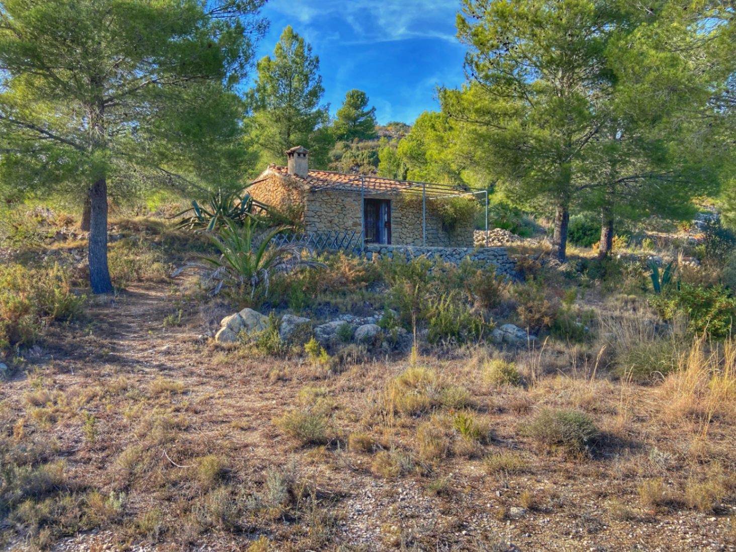 Parcela en Jalon, Alicante, España No. 87415