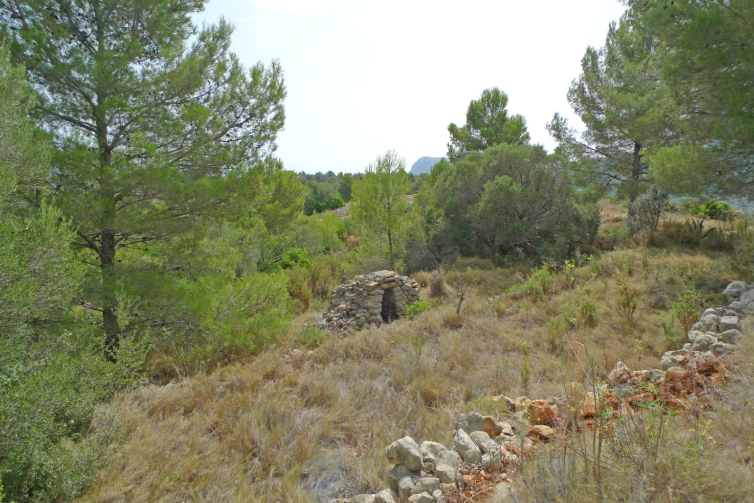 Parcela en Jalon, Alicante, España No. 87415