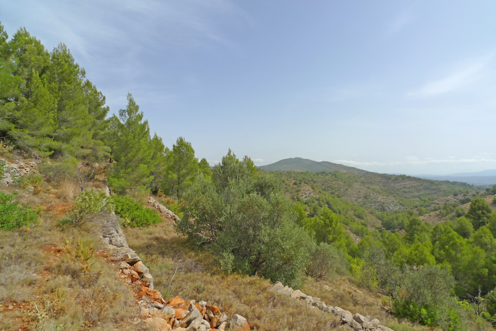 Parcela en Jalon, Alicante, España No. 87415